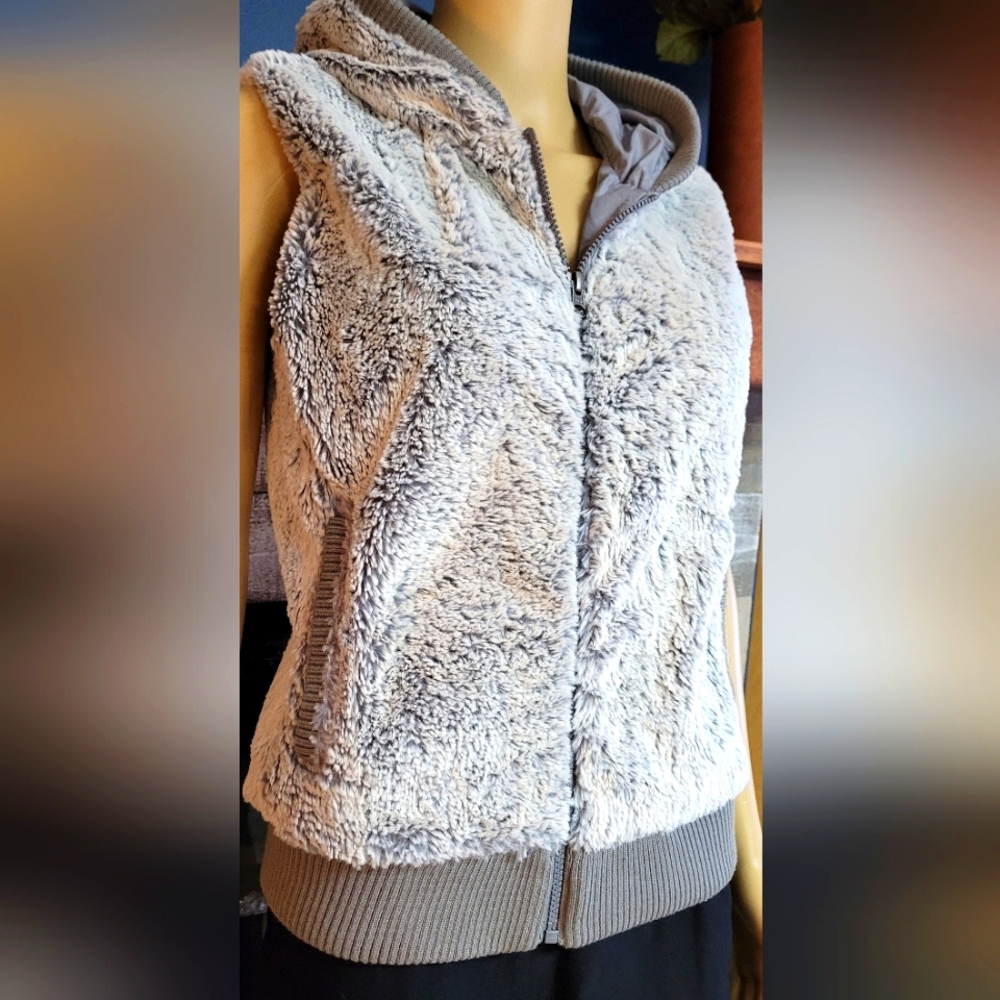 Patagonia vest